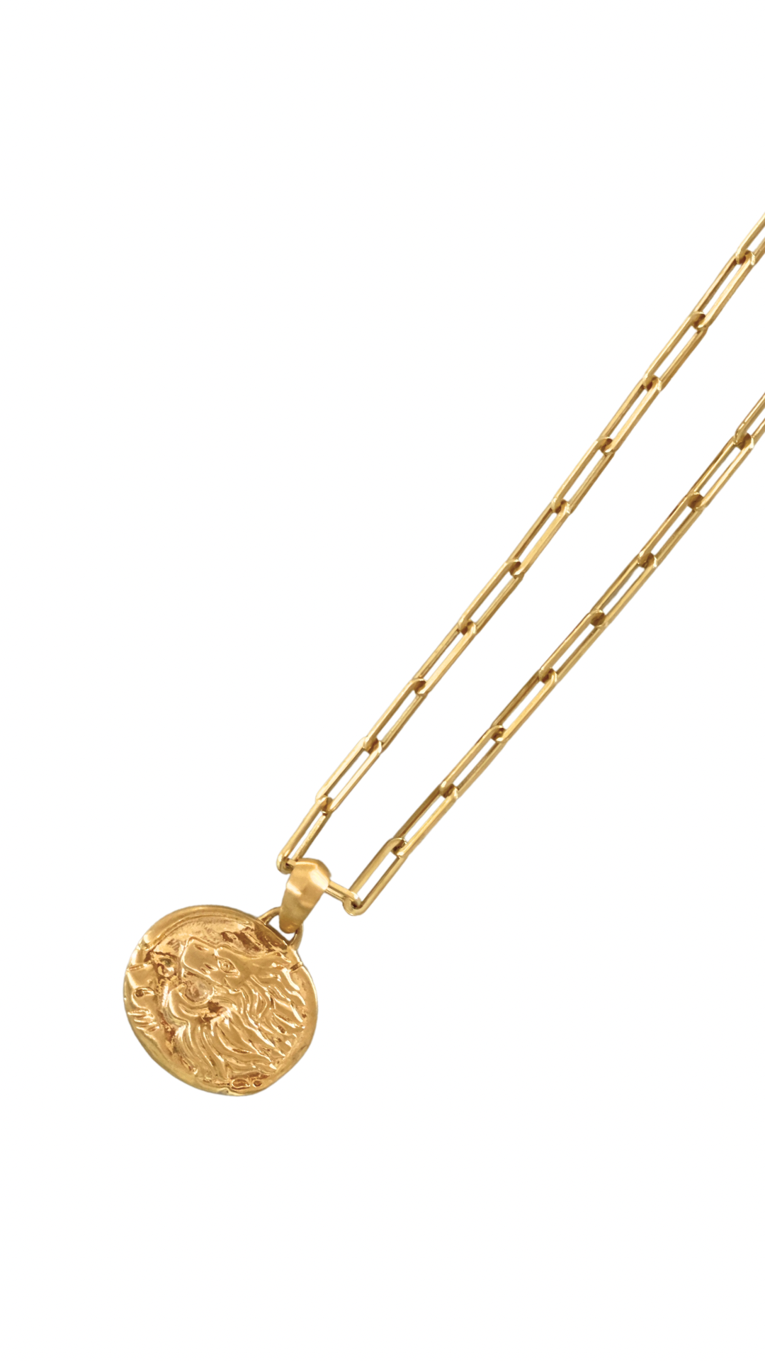 La vena Layered Necklace - 18 k Brushed gold plated - ON ORDER
