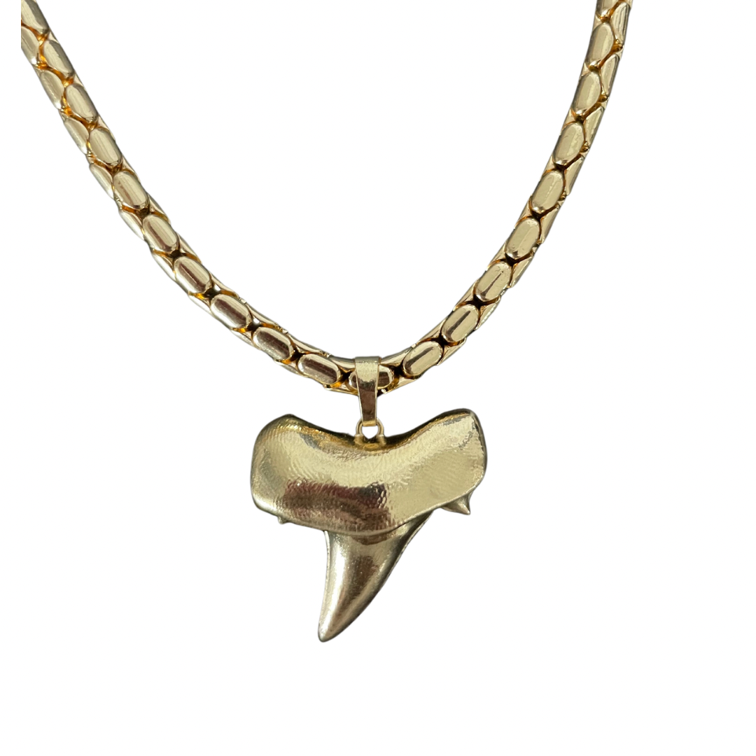 Shark Tooth 14 k chain and pendant