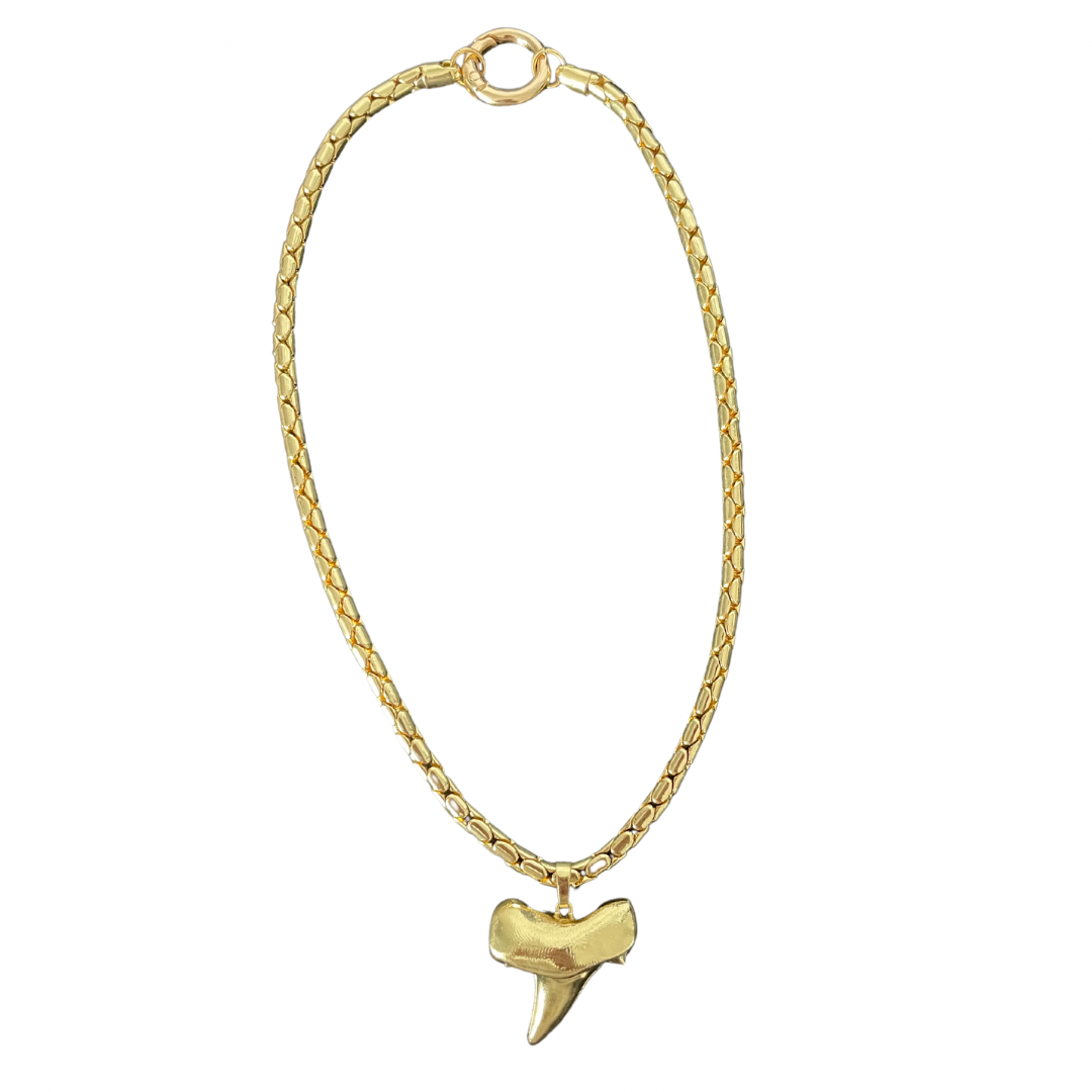 Shark Tooth 14 k chain and pendant