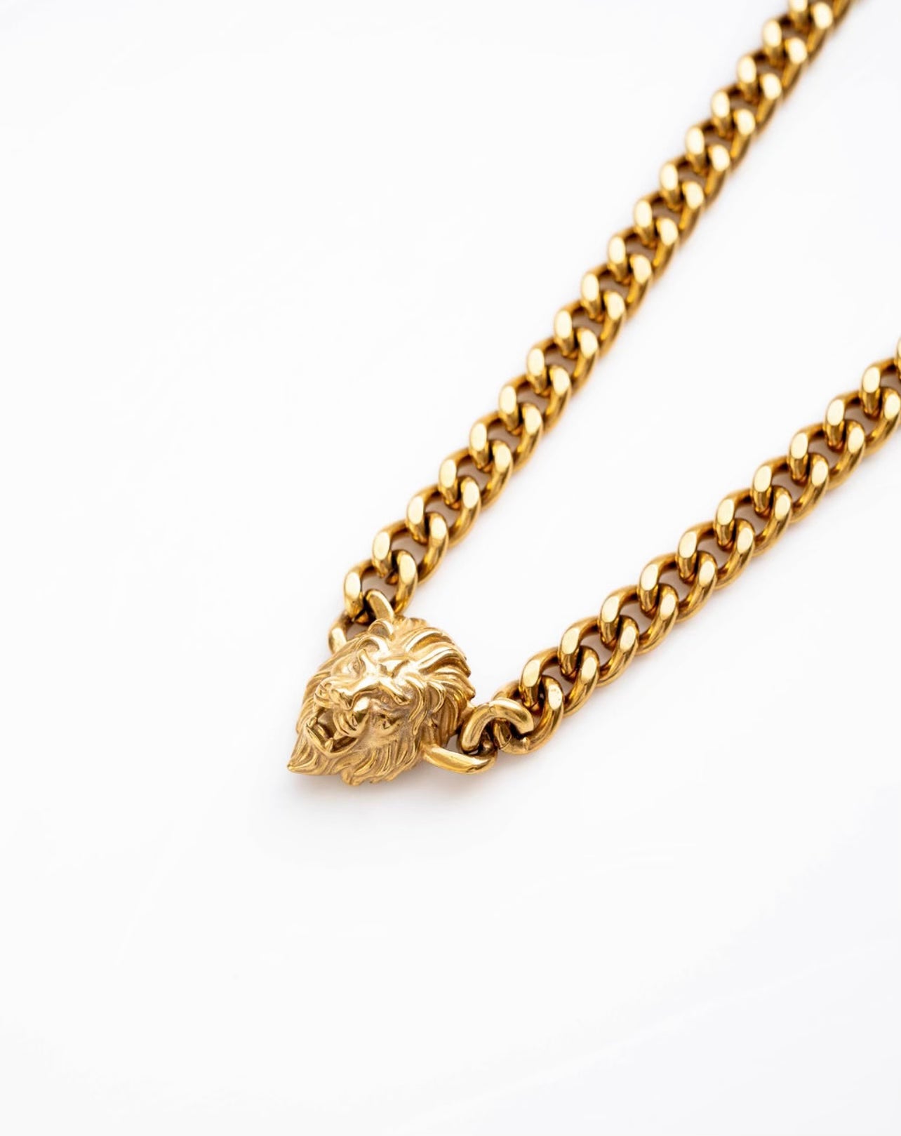 Leo Love 18k plated necklace